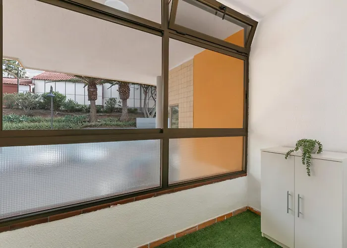 El Tute * باجامار