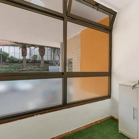 El Tute * Bajamar (La Laguna)