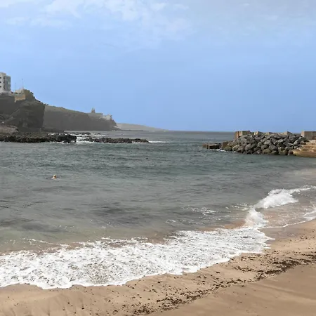 El Tute Bajamar (La Laguna)